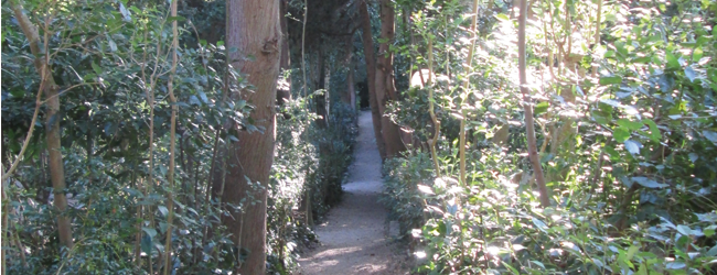 parco ligustri