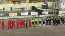 Penne Delfino Flacco Porto