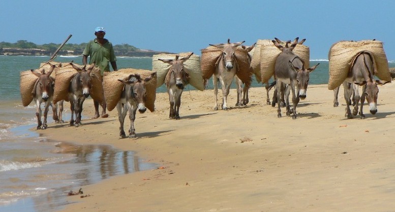 Lamu, Kenya