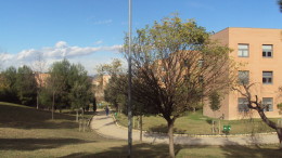 Universita d'Annunzio