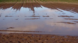 Maltempo, richiesta risarcimento danni entro il 19 maggio