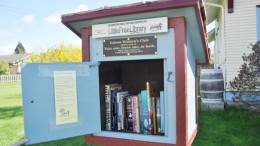 Un'esempio di piccola libreria/scambio