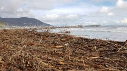 Rifiuti spiaggiati. Necessari investimenti sulle emergenze ambientali