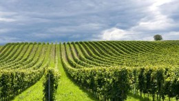 Sviluppo rurale, fondi europei per aziende abruzzesi