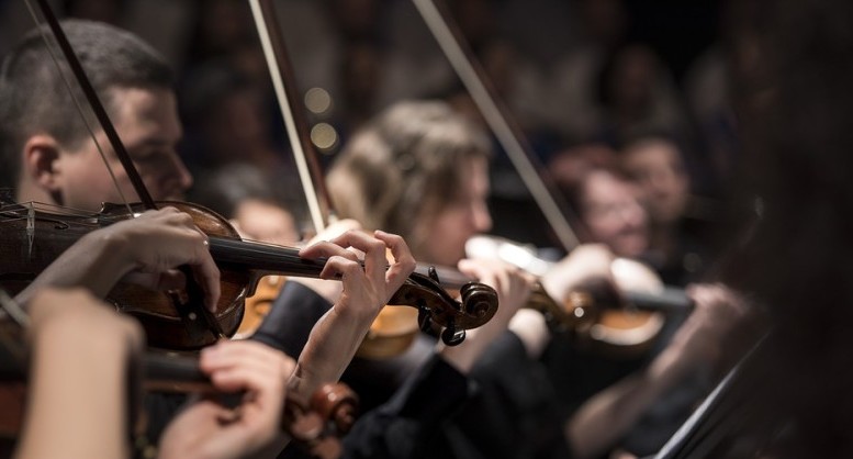 Il cartellone del week end