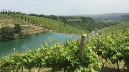 E' partito il wine tour 2017 “Taste & Tour Abruzzo”