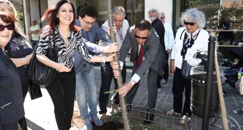 Ripiantumazione in via Fabrizi con nuovi lecci