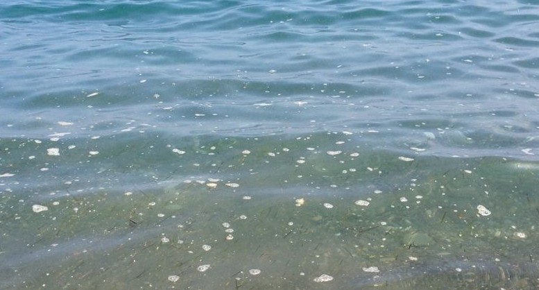 Fosso Vallelunga: dati Arta confermano balneabilità delle acque