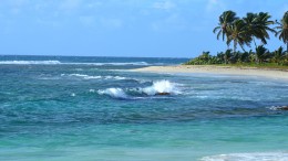 Isole della Guadalupa