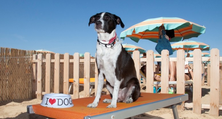 Spiagge pet friendly riconfermate a Montesilvano