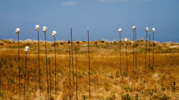 Le sculture mancati di Lia Cavo
