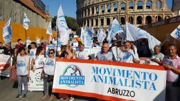 Movimento animalista Abruzzo -Chieti (foto Facebook)