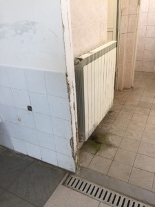 campo sportivo zanni19