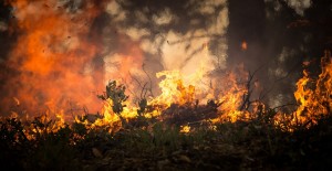 Emergenza incendi in Abruzzo: l'analisi della situazione