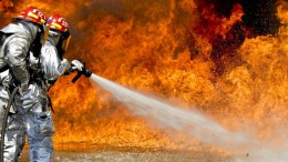 Wwf, i dati sugli incendi boschivi