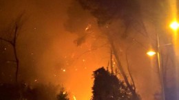La Riserva dannunziana in fiamme