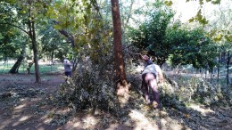 Lavori di manutenzione al Parco Sabucchi