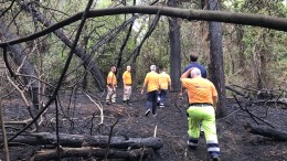 Sopralluogo nella Riserva dannunziana per stima danni causati dall'incendio di sabato sera