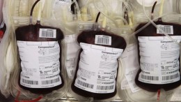 Raccolta di sangue
