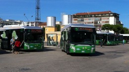Orsa Trasporti