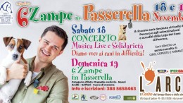 Sei zampe in passerella