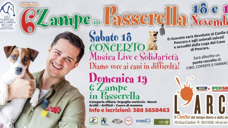 Sei zampe in passerella