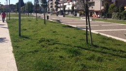 stop alla violenza
