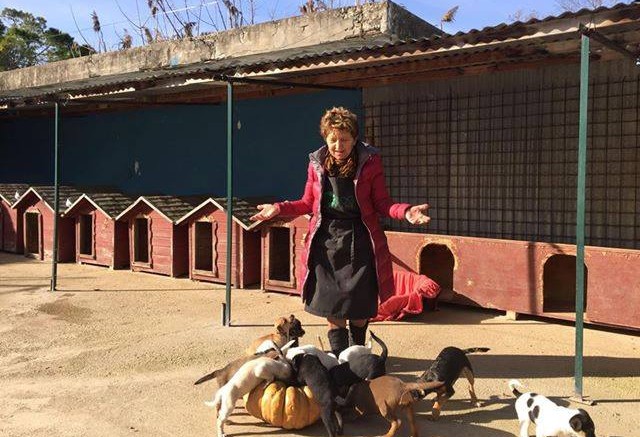 Carmelita Bellini, Presidentessa Dog village