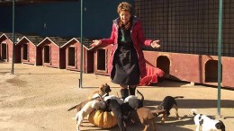 Carmelita Bellini, Presidentessa Dog village