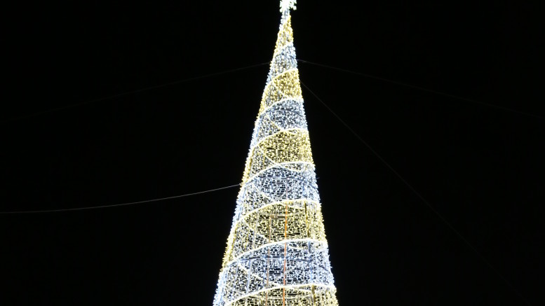 L'albero di Natale a piazza Salotto