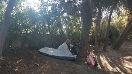 Bivacchi nella pineta a Montesilvano