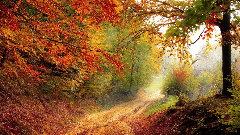 No al nuovo decreto foreste