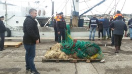 Operazione Arca di Noè