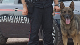 Carabinieri, unità cinofile