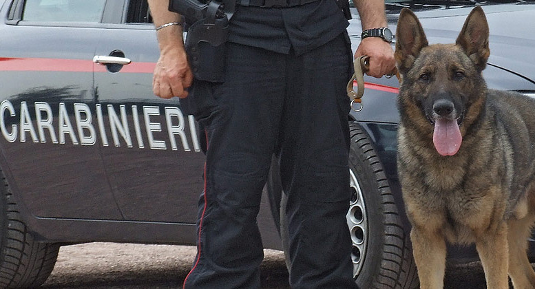 Carabinieri, unità cinofile