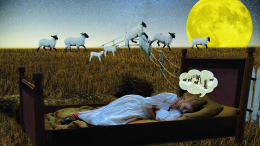 insonnia