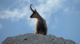 Foto dal sito www.parcomajella.it