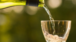 Corso di Sommelier