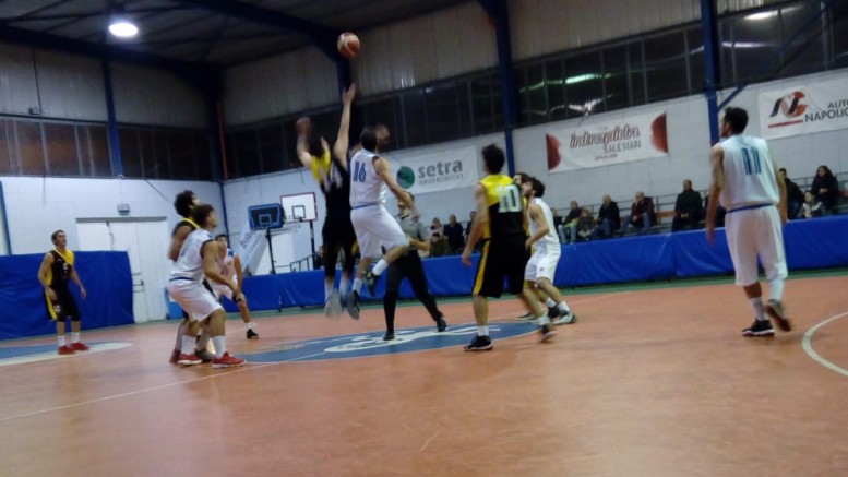 Antoniana basket