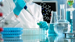 ricerca scientifica
