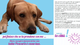 campagna deiezioni canine