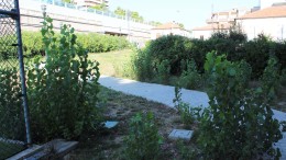 Parco Baden Powell Pescara