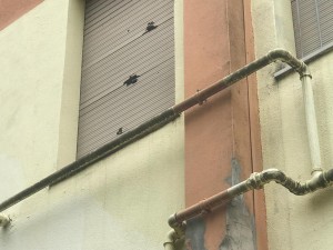 scuola Borgo Marino - Pescara