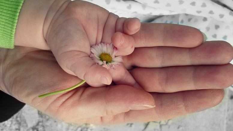 neonatologia pescara