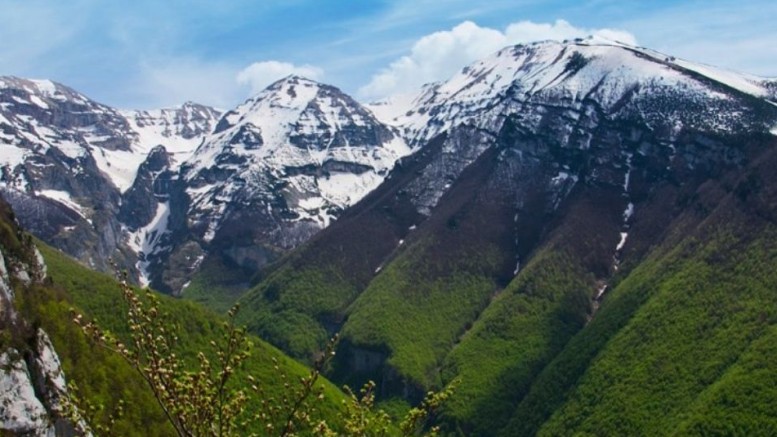 Parchi per il clima 2020