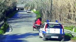 multe e bighe in città