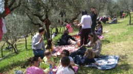 merenda tra gli ulivi