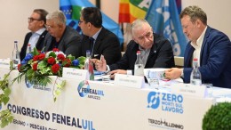 fenealuil