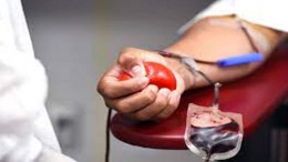 sangue