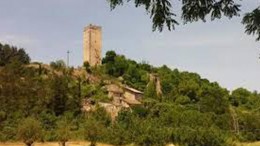 torano
